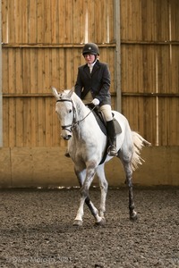 Novice 28